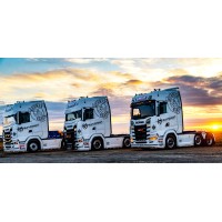 Mark Stewart Ltd