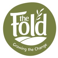 The Fold