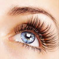 DW Roberts Opticians