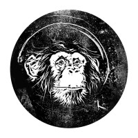 Space Station Apes