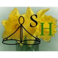 SHOP HOLISTIC LIMITED