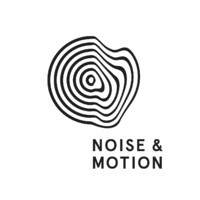 Noise and Motion