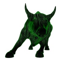 BitBull Capital