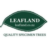 Leafland - Quality Specimen Trees