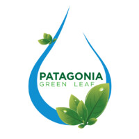 PATAGONIA GREEN LEAF