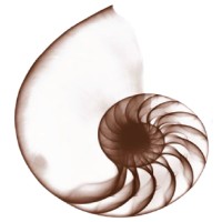Nautilus Maritime Pte. Ltd.