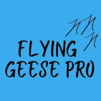 Flying Geese Pro