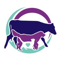 Millstreet Veterinary Group