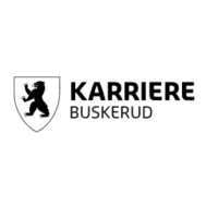 Karriere Buskerud