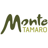 Monte Tamaro SA
