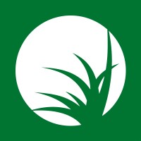 DIE GRÜNE WIESE
