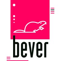 Bever autoaanpassingen
