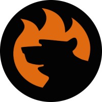 FireBear Studio