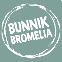 Bunnik Bromelia