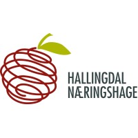 Hallingdal Næringshage AS
