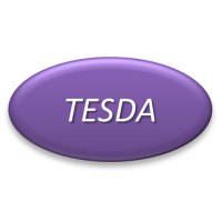 TESDA :Taiwan Electronic System Design Automation