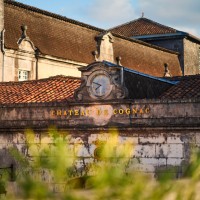 Château de Cognac
