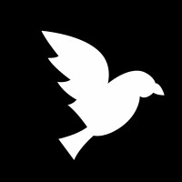 De Witte Raaf
