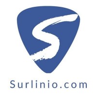Surlinio: sites, shops, social, seo & sea