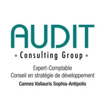 AUDIT CONSULTING GROUP.