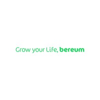 bereum