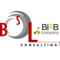 BSL Consulting