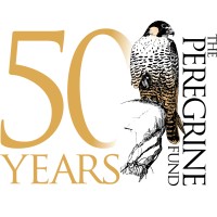 The Peregrine Fund