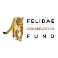 Felidae Conservation Fund