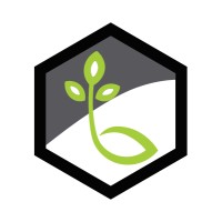 Life Bridge Capital