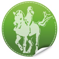 Manege het Roessingh