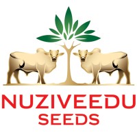NUZIVEEDU SEEDS LIMITED