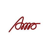 AMO Electric Bikes