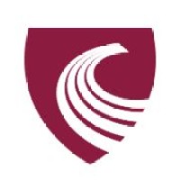 Chartered Accountants Ireland