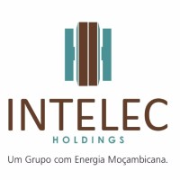 Intelec Holdings