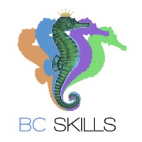 BC Skills Group
