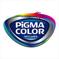 PIGMA COLOR