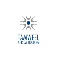 Tamweel Africa Holding