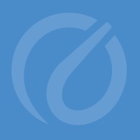 TechSoft International