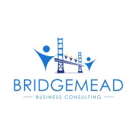 Bridgemead Consulting
