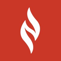 American Nurses Enterprise