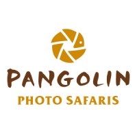 Pangolin Photo Safaris