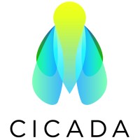 Cicada