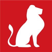 JournalduCameroun.com