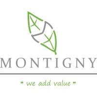 Montigny Investments