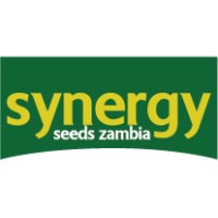Synergy Seeds Zambia