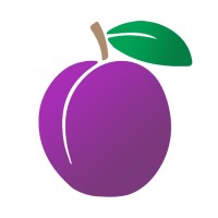 Plumlogix (MBE Salesforce Partner)
