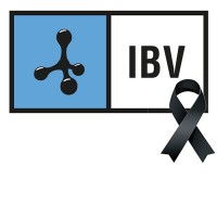 Instituto de Biomecánica (IBV)