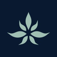 The Cannabist Company