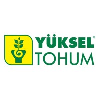 Yuksel Tohum