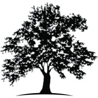 White Oak Global Advisors